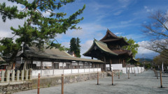 阿蘇神社＠2023 (47) 横参道