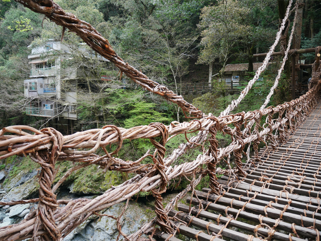 祖谷のかずら橋 (7)