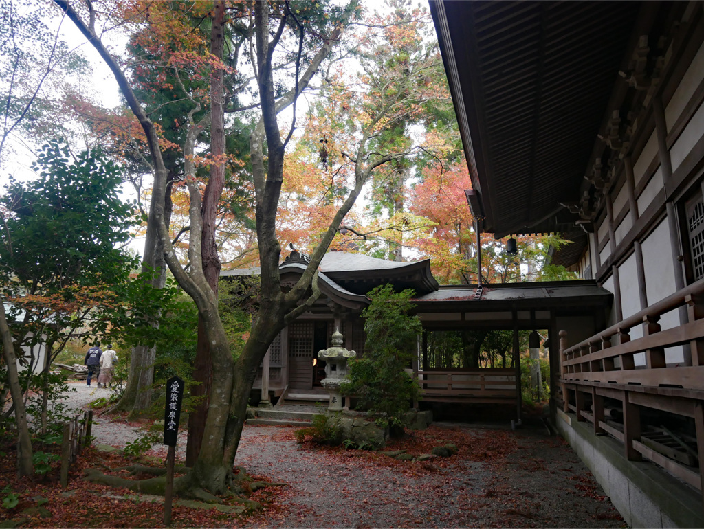 呑山観音寺 (19) 愛染堂