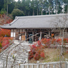 呑山観音寺 (79) 百観音堂