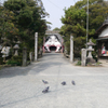 日吉神社 (3)