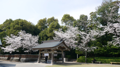健軍神社 (9)