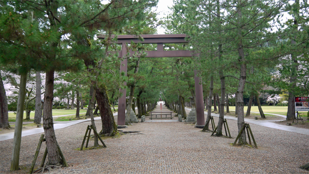 出雲大社・松の参道の鳥居