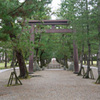 出雲大社・松の参道の鳥居