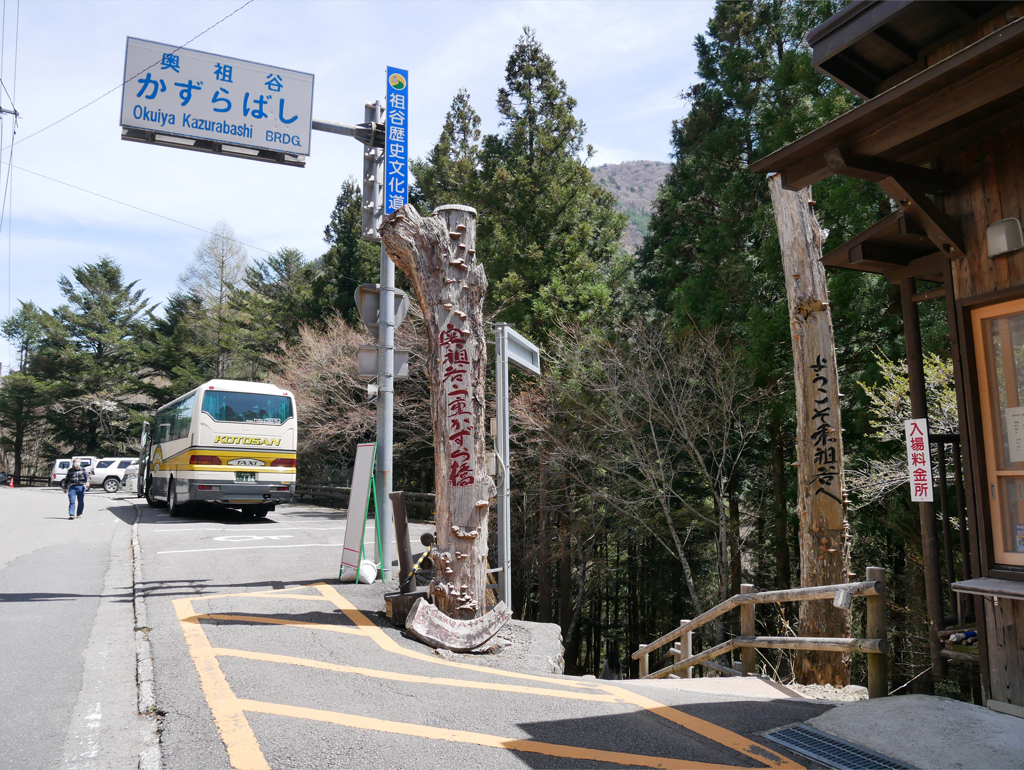 奥祖谷二重かずら橋 (1)