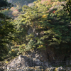 長門峡⑧