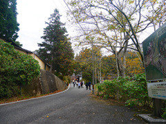 呑山観音寺 (63)