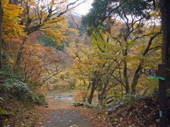 大山寺⑤