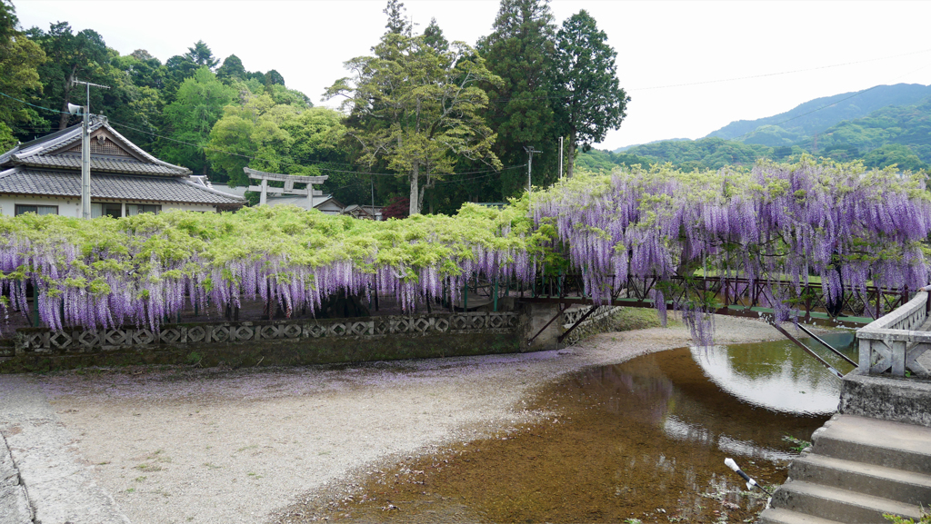 西寒多神社＠2018 (2)