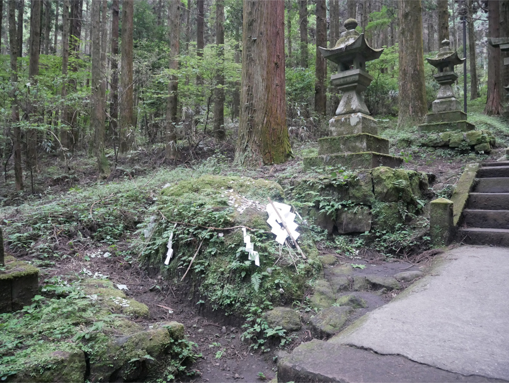 上色見熊野座神社 (17)