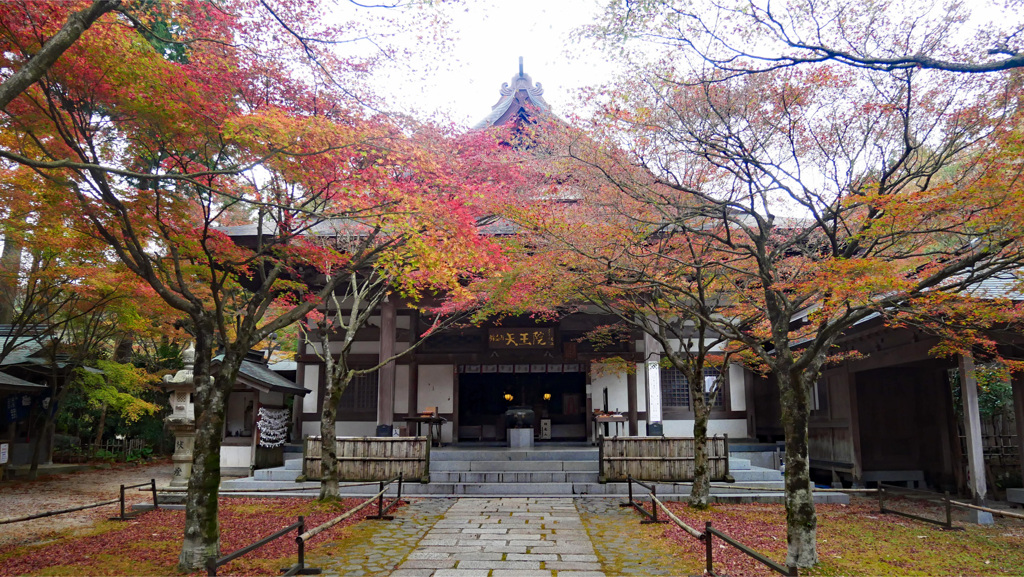 呑山観音寺 (8') 天王院
