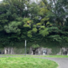 立山防空壕 wide (1)