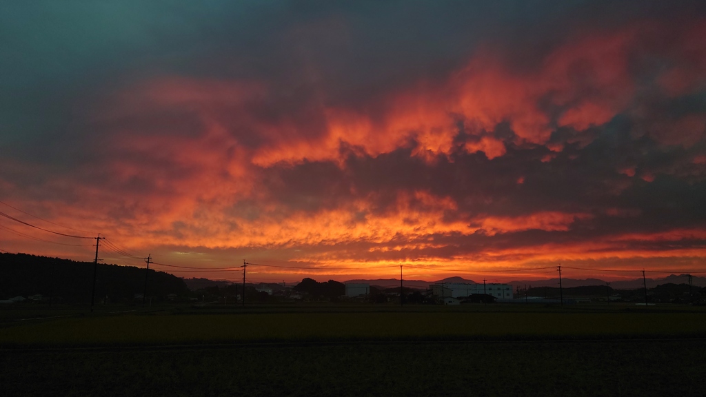燃える