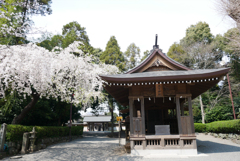 健軍神社 (11)