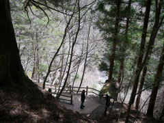 奥祖谷二重かずら橋 (2)