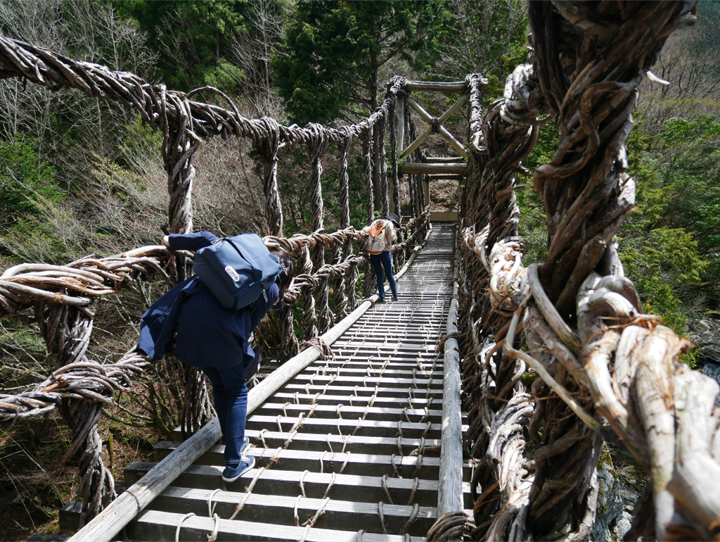 奥祖谷二重かずら橋 (5)