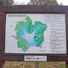 篠栗九大の森 (1)