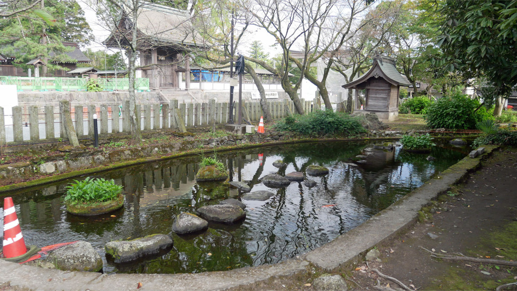 阿蘇神社＠2023 (6)