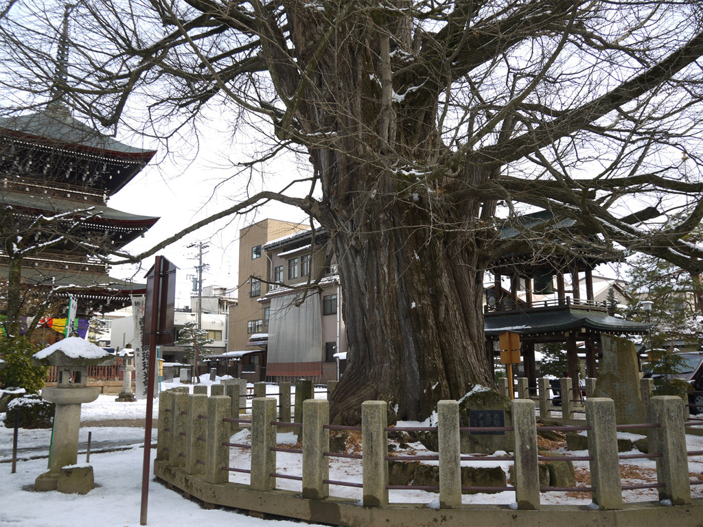 飛騨国分寺 ⑨