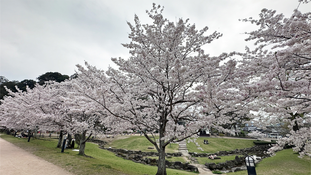 亀山公園 (3)