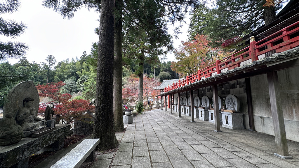 呑山観音寺 (102)