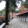 呑山観音寺 (102)