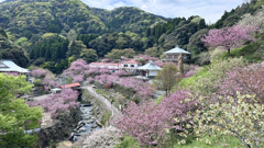 一心寺＠2025 (2)