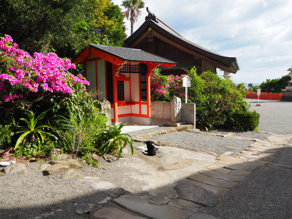 鵜戸神宮 (1) 尼さま