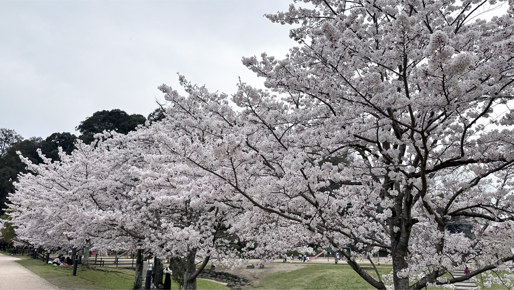 亀山公園 (2)