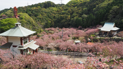 一心寺＠2025