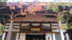 呑山観音寺 (9) 天王院
