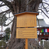 飛騨国分寺 ⑥