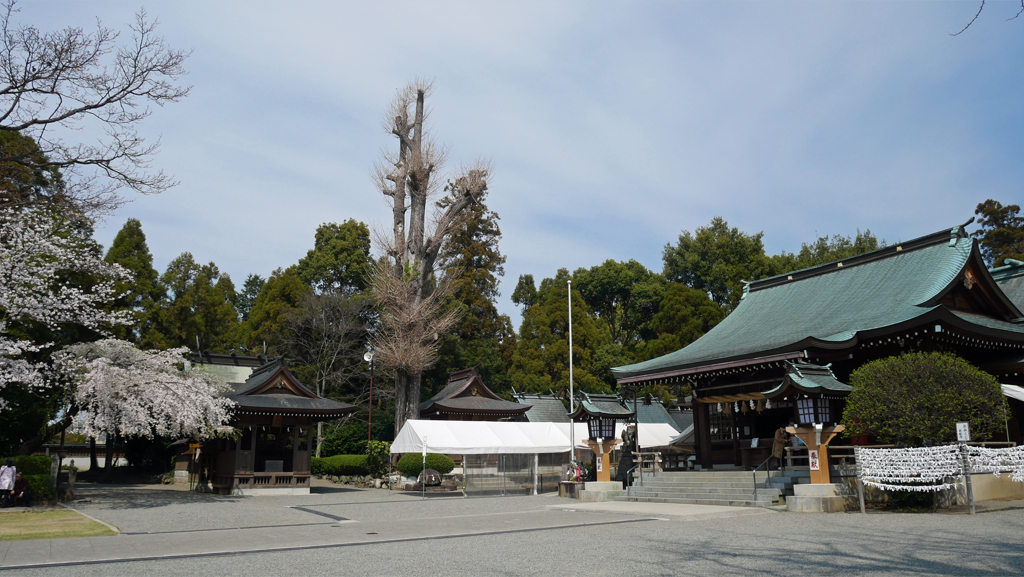 健軍神社 (10)