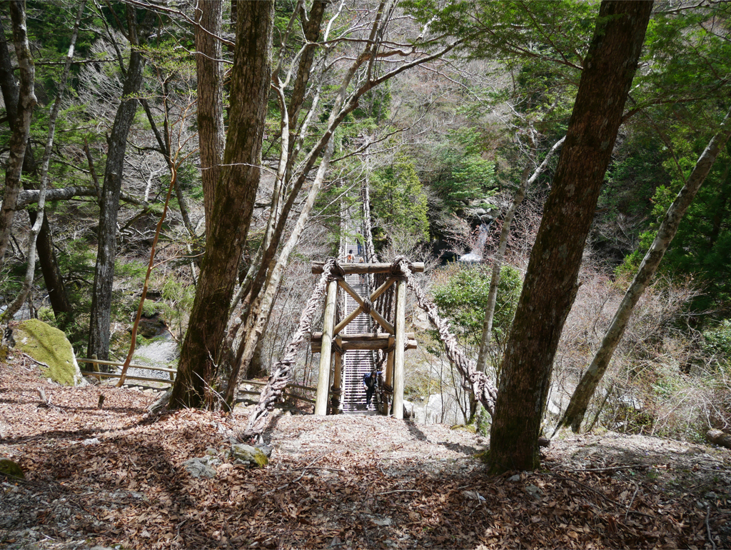 奥祖谷二重かずら橋 (4)