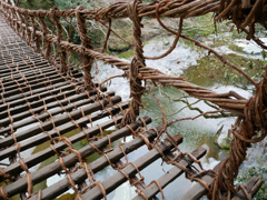 祖谷のかずら橋 (5)