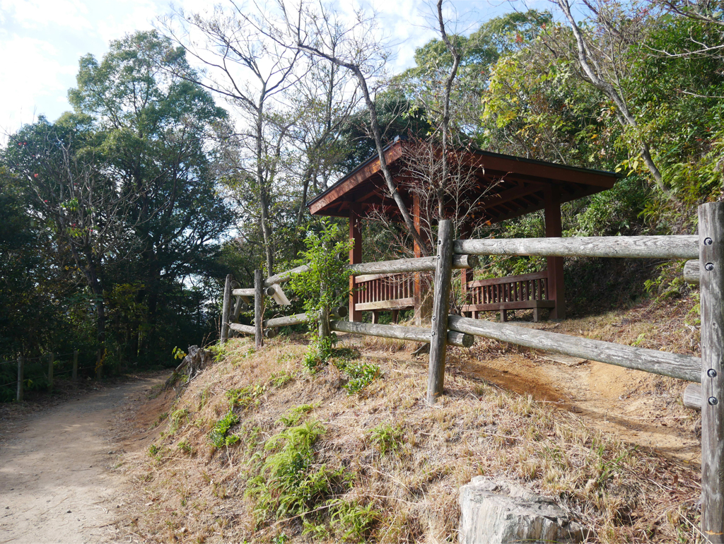 篠栗九大の森 (77)