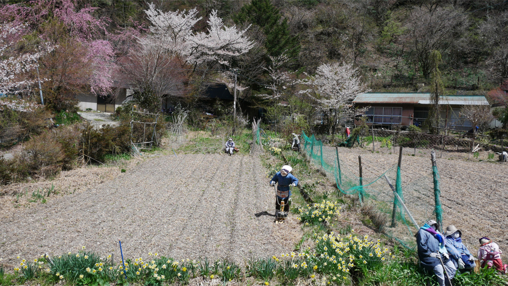 天空の村・かかしの里 (2)