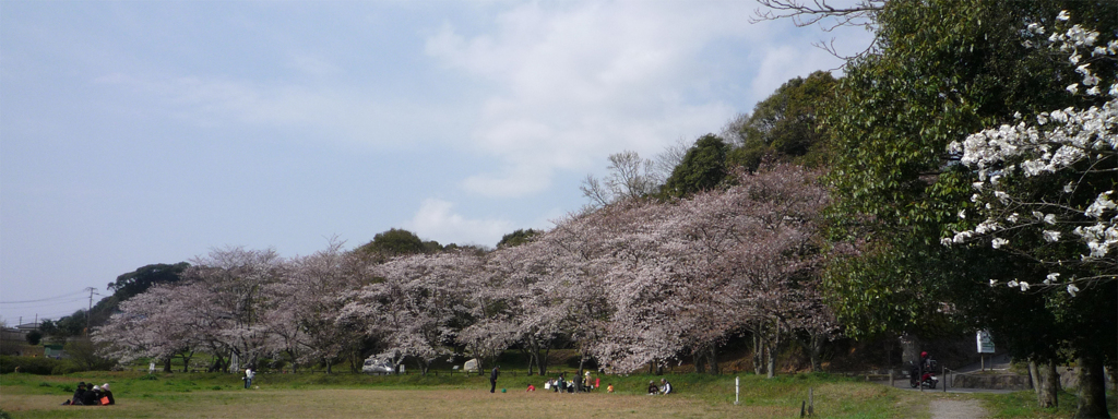 大宰府政庁跡＠2009