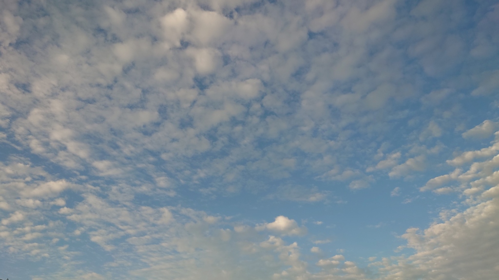 空