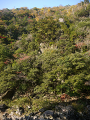 長門峡⑨