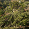 長門峡⑨