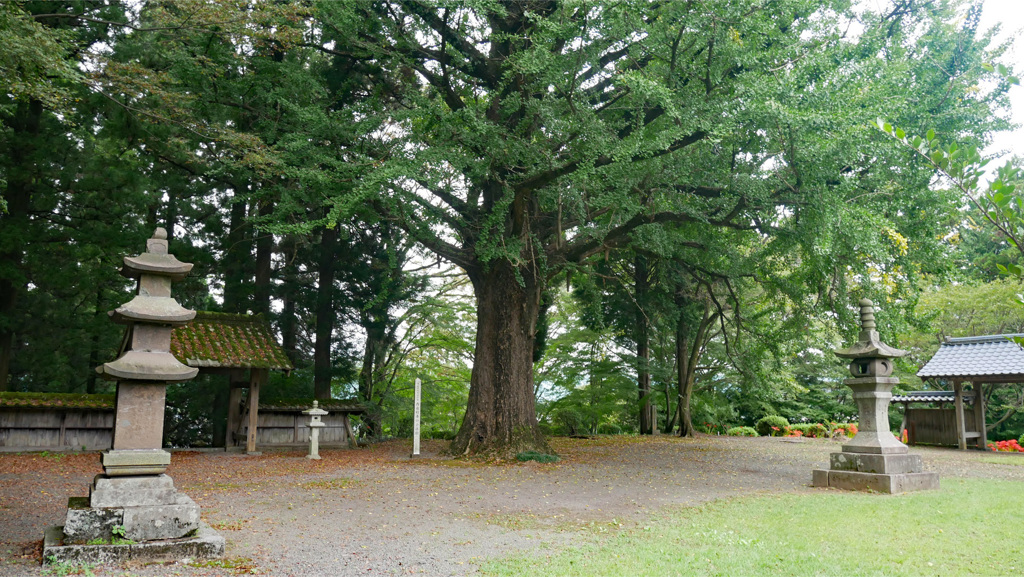 西巌殿寺 (16)