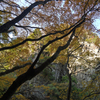長門峡⑦