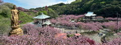 一心寺＠2025 wide