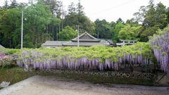 西寒多神社＠2018 (3)