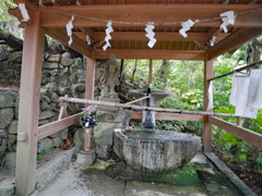 呑山観音寺 (98)