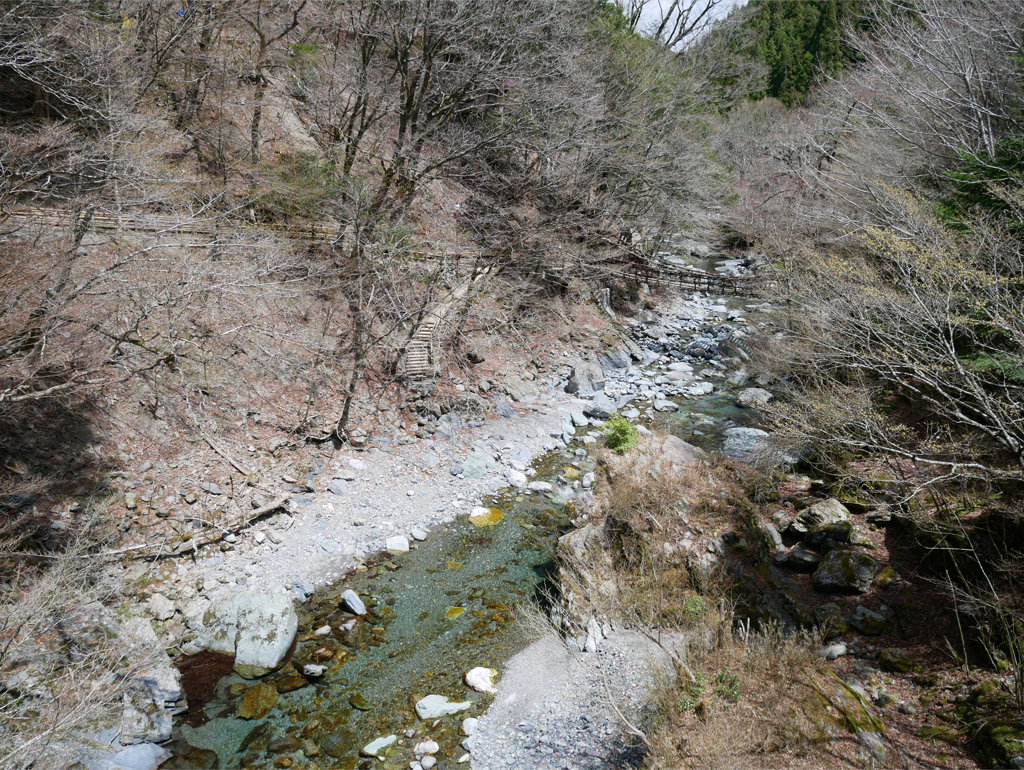 奥祖谷二重かずら橋 (8)