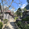 香山昇龍大観音 (12)