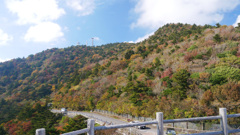 仁田峠第二展望所の紅葉