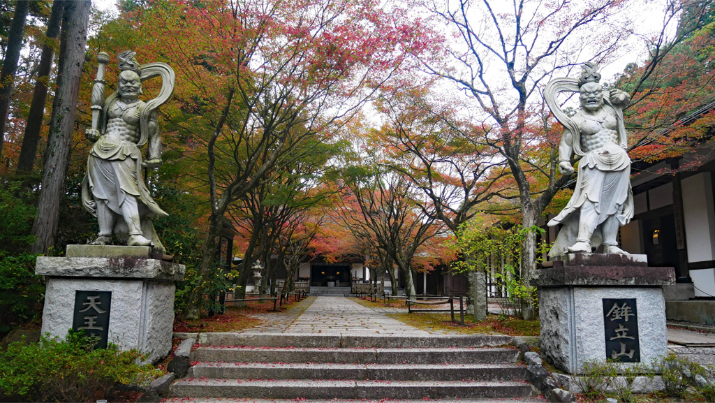 呑山観音寺 (6') 天王院